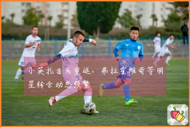 小英扎吉或重返，弗拉霍维奇等明星转会动态频繁