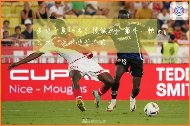 多特今夏14名引援候选：桑乔、帕瓦尔、沃尔特等在内
